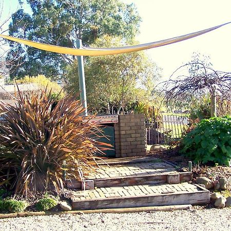Bogong Moth Motel 芒特比尤蒂 外观 照片