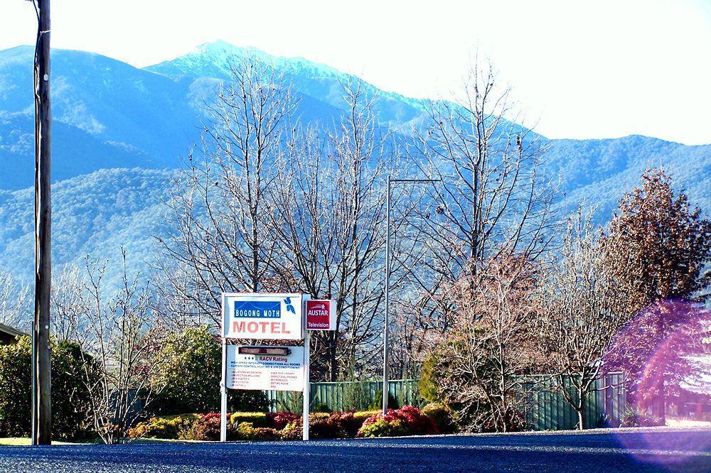 Bogong Moth Motel 芒特比尤蒂 外观 照片