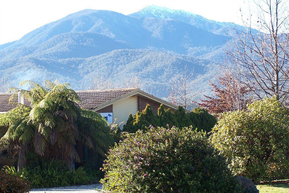 Bogong Moth Motel 芒特比尤蒂 外观 照片
